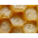 Bee Happy Royal Jelly 1000mg  90cap